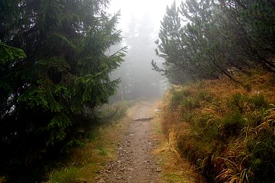 IMG_0569rw.jpg