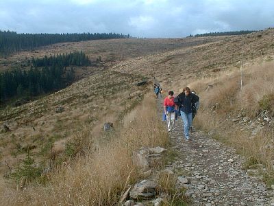 tn_MD010928-38_JPG.jpg