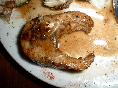tn_20020321_vr10_jpg.jpg