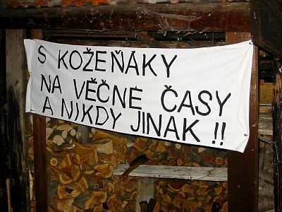 tn_IMG_1767_JPG.jpg