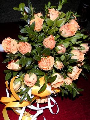 tn_P9260020_JPG.jpg