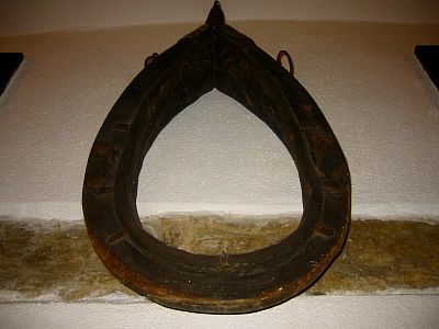 tn_IMG_5070_JPG.jpg