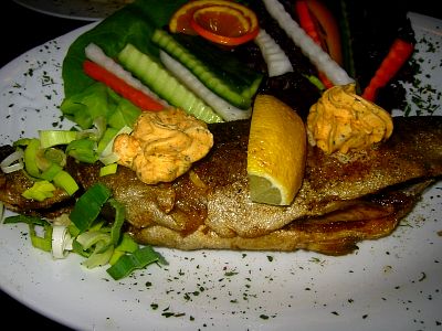 tn_IMG_5183_JPG.jpg