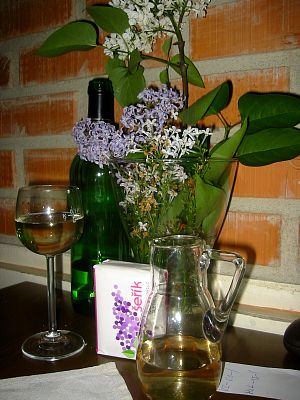 tn_IMG_5563_JPG.jpg