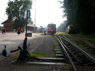 tn_IMG_5747_JPG.jpg
