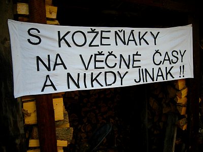 tn_IMG_1508_JPG.jpg