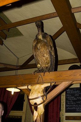 tn_IMG_9616a_jpg.jpg
