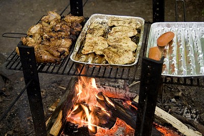 tn_IMG_4103rw_mid_jpg.jpg