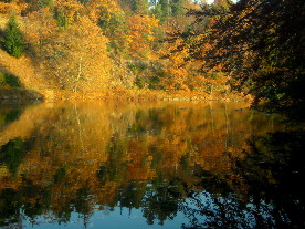 Pruhonick park ilustruje Honzovu novou skladbu